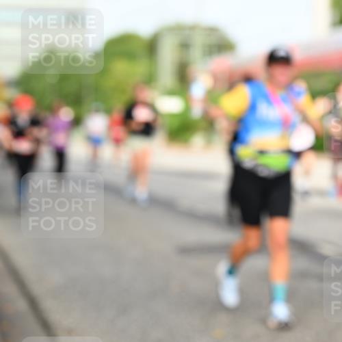 06.09.2026 - CURREX Alsterlauf Dr. Thomas Lammeyer http://msf.ph/oto/10138121 06.09.2026 10:04:16 Laufen  meine-sportfotos.de