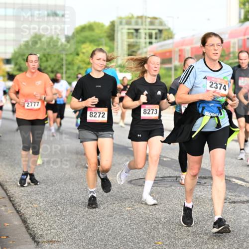 06.09.2026 - CURREX Alsterlauf Dr. Thomas Lammeyer http://msf.ph/oto/10138396 06.09.2026 10:04:43 Laufen 2374, 303, 3200, 2777, 8273, 8272 meine-sportfotos.de