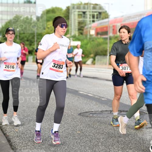 06.09.2026 - CURREX Alsterlauf Dr. Thomas Lammeyer http://msf.ph/oto/10139680 06.09.2026 10:06:51 Laufen 2616, 307, 5555, 3283 meine-sportfotos.de