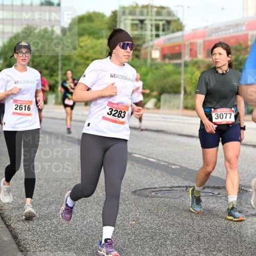 06.09.2026 - CURREX Alsterlauf Dr. Thomas Lammeyer http://msf.ph/oto/10139681 06.09.2026 10:06:51 Laufen 2616, 3283, 3077, 55 meine-sportfotos.de