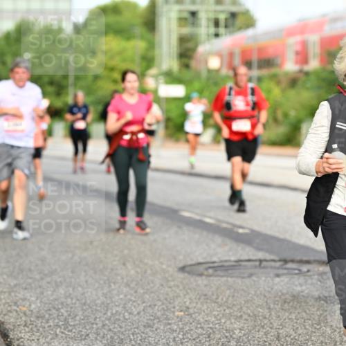 06.09.2026 - CURREX Alsterlauf Dr. Thomas Lammeyer http://msf.ph/oto/10139787 06.09.2026 10:07:01 Laufen 648 meine-sportfotos.de