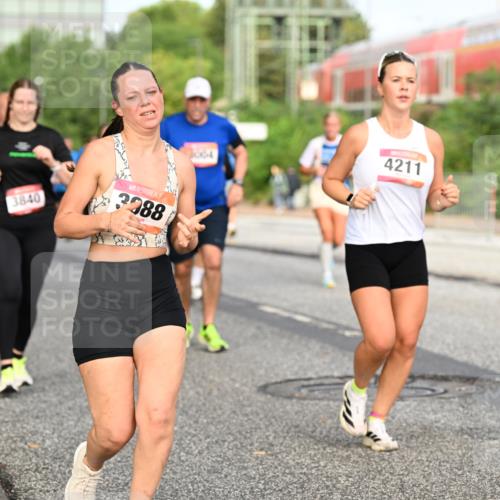 06.09.2026 - CURREX Alsterlauf Dr. Thomas Lammeyer http://msf.ph/oto/10139870 06.09.2026 10:07:11 Laufen 3840, 3988, 004, 4211 meine-sportfotos.de