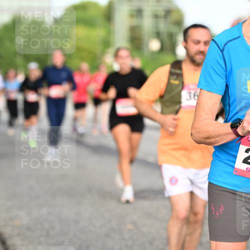 06.09.2026 - CURREX Alsterlauf Dr. Thomas Lammeyer http://msf.ph/oto/10139983 06.09.2026 10:07:21 Laufen 36, 2015, 2356 meine-sportfotos.de