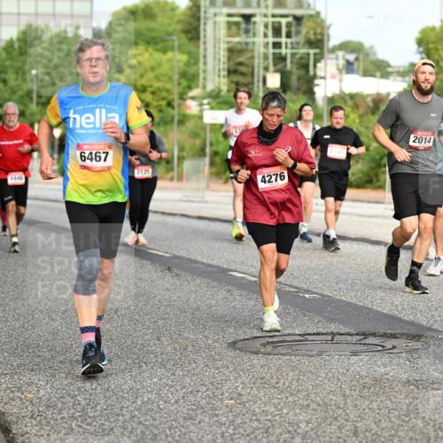 06.09.2026 - CURREX Alsterlauf Dr. Thomas Lammeyer http://msf.ph/oto/10140100 06.09.2026 10:07:34 Laufen 4946, 6467, 2125, 4276, 8145, 2014, 491 meine-sportfotos.de