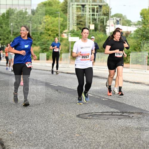 06.09.2026 - CURREX Alsterlauf Dr. Thomas Lammeyer http://msf.ph/oto/10140358 06.09.2026 10:08:09 Laufen 5335, 319, 3557, 3761, 4216, 42 meine-sportfotos.de