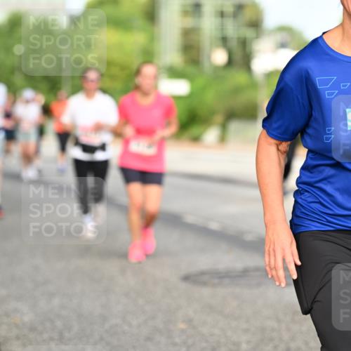 06.09.2026 - CURREX Alsterlauf Dr. Thomas Lammeyer http://msf.ph/oto/10140381 06.09.2026 10:08:12 Laufen 319 meine-sportfotos.de