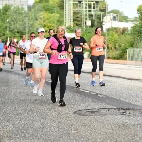 06.09.2026 - CURREX Alsterlauf Dr. Thomas Lammeyer http://msf.ph/oto/10140439 06.09.2026 10:08:18 Laufen 3245, 3244, 4421, 3776 meine-sportfotos.de