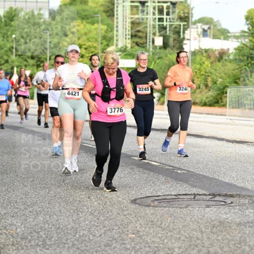 06.09.2026 - CURREX Alsterlauf Dr. Thomas Lammeyer http://msf.ph/oto/10140440 06.09.2026 10:08:18 Laufen 4421, 3776, 3245, 3244 meine-sportfotos.de