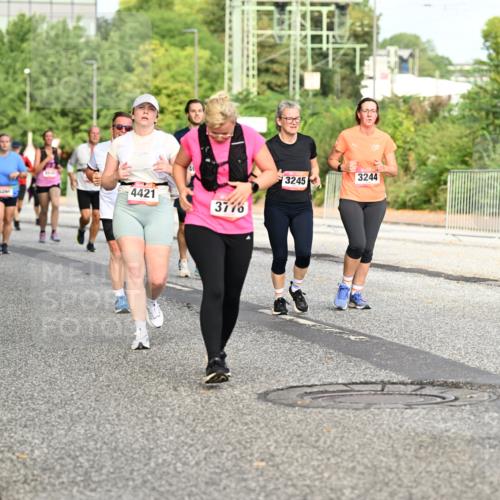 06.09.2026 - CURREX Alsterlauf Dr. Thomas Lammeyer http://msf.ph/oto/10140441 06.09.2026 10:08:19 Laufen 2463, 4421, 3776, 3244, 3245 meine-sportfotos.de