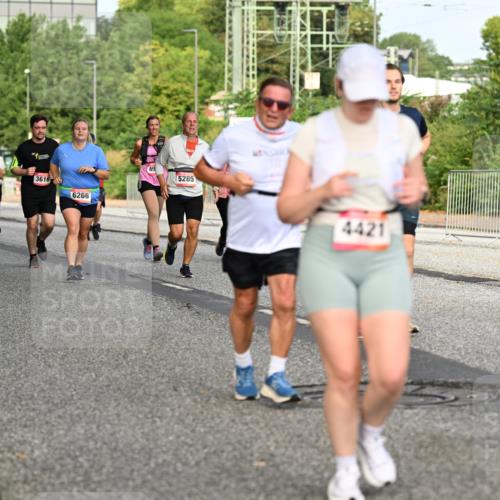06.09.2026 - CURREX Alsterlauf Dr. Thomas Lammeyer http://msf.ph/oto/10140450 06.09.2026 10:08:21 Laufen 6235, 3616, 5285, 2493, 6266, 4421 meine-sportfotos.de