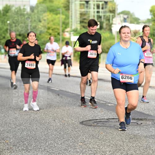 06.09.2026 - CURREX Alsterlauf Dr. Thomas Lammeyer http://msf.ph/oto/10140487 06.09.2026 10:08:26 Laufen 12, 30, 2493, 3616, 6266, 494, 528 meine-sportfotos.de