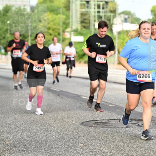 06.09.2026 - CURREX Alsterlauf Dr. Thomas Lammeyer http://msf.ph/oto/10140491 06.09.2026 10:08:26 Laufen 236, 2493, 3616, 6266 meine-sportfotos.de