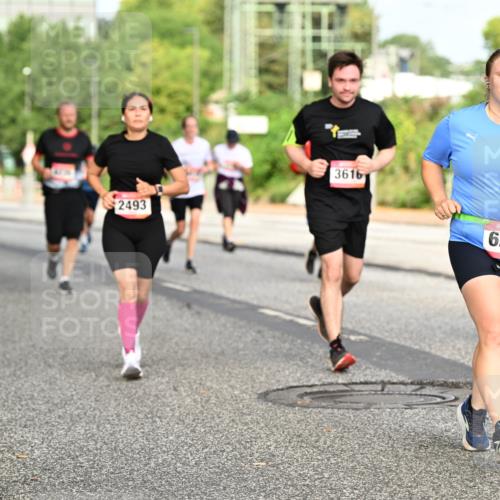 06.09.2026 - CURREX Alsterlauf Dr. Thomas Lammeyer http://msf.ph/oto/10140492 06.09.2026 10:08:26 Laufen 2493, 3616, 6266 meine-sportfotos.de