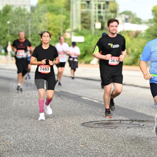 06.09.2026 - CURREX Alsterlauf Dr. Thomas Lammeyer http://msf.ph/oto/10140493 06.09.2026 10:08:27 Laufen 2493, 3616, 6266 meine-sportfotos.de