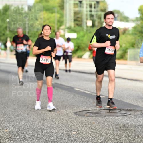 06.09.2026 - CURREX Alsterlauf Dr. Thomas Lammeyer http://msf.ph/oto/10140495 06.09.2026 10:08:27 Laufen 2493, 3616, 6266 meine-sportfotos.de