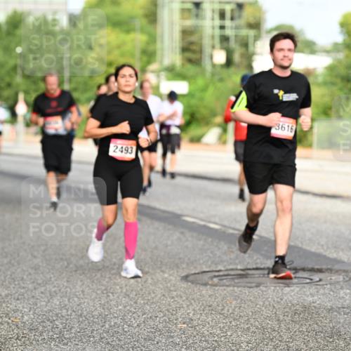 06.09.2026 - CURREX Alsterlauf Dr. Thomas Lammeyer http://msf.ph/oto/10140496 06.09.2026 10:08:27 Laufen 2493, 3616, 626 meine-sportfotos.de