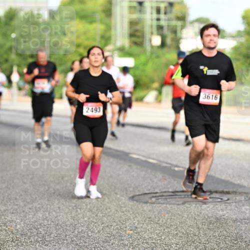 06.09.2026 - CURREX Alsterlauf Dr. Thomas Lammeyer http://msf.ph/oto/10140499 06.09.2026 10:08:27 Laufen 2493, 3616 meine-sportfotos.de
