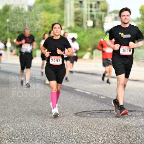 06.09.2026 - CURREX Alsterlauf Dr. Thomas Lammeyer http://msf.ph/oto/10140500 06.09.2026 10:08:27 Laufen 2493, 3616 meine-sportfotos.de