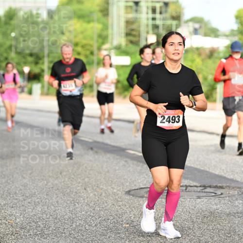 06.09.2026 - CURREX Alsterlauf Dr. Thomas Lammeyer http://msf.ph/oto/10140509 06.09.2026 10:08:28 Laufen 2493 meine-sportfotos.de