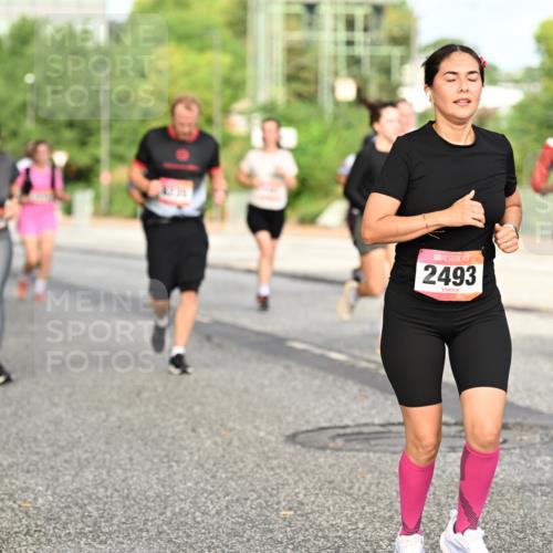 06.09.2026 - CURREX Alsterlauf Dr. Thomas Lammeyer http://msf.ph/oto/10140512 06.09.2026 10:08:29 Laufen 2493 meine-sportfotos.de
