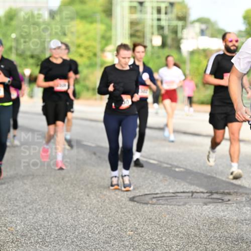 06.09.2026 - CURREX Alsterlauf Dr. Thomas Lammeyer http://msf.ph/oto/10140628 06.09.2026 10:08:41 Laufen 2942 meine-sportfotos.de