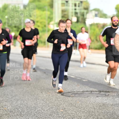 06.09.2026 - CURREX Alsterlauf Dr. Thomas Lammeyer http://msf.ph/oto/10140630 06.09.2026 10:08:41 Laufen 2942 meine-sportfotos.de