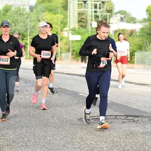 06.09.2026 - CURREX Alsterlauf Dr. Thomas Lammeyer http://msf.ph/oto/10140637 06.09.2026 10:08:42 Laufen 5809, 2822, 50, 4825, 40, 40 meine-sportfotos.de