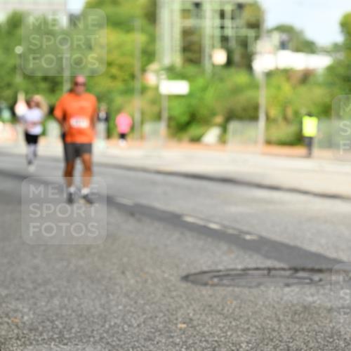 06.09.2026 - CURREX Alsterlauf Dr. Thomas Lammeyer http://msf.ph/oto/10140684 06.09.2026 10:08:47 Laufen  meine-sportfotos.de