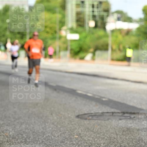 06.09.2026 - CURREX Alsterlauf Dr. Thomas Lammeyer http://msf.ph/oto/10140685 06.09.2026 10:08:47 Laufen  meine-sportfotos.de