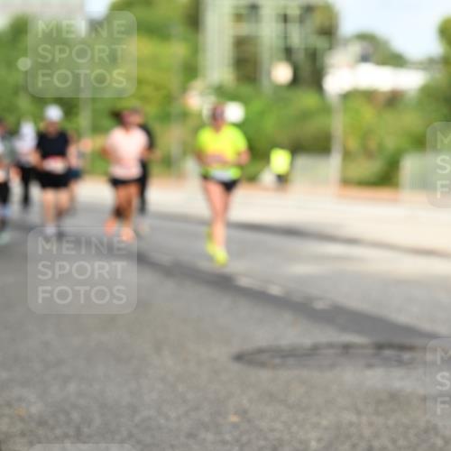 06.09.2026 - CURREX Alsterlauf Dr. Thomas Lammeyer http://msf.ph/oto/10140764 06.09.2026 10:08:57 Laufen  meine-sportfotos.de