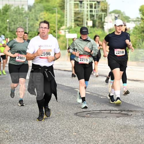 06.09.2026 - CURREX Alsterlauf Dr. Thomas Lammeyer http://msf.ph/oto/10140803 06.09.2026 10:09:01 Laufen 4576, 3901, 0, 2596, 2218, 2215, 8091 meine-sportfotos.de