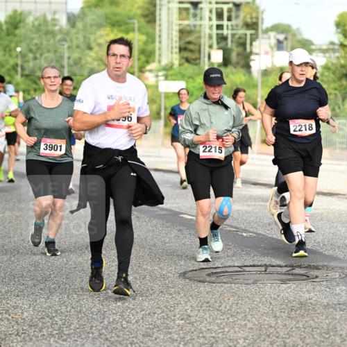 06.09.2026 - CURREX Alsterlauf Dr. Thomas Lammeyer http://msf.ph/oto/10140804 06.09.2026 10:09:02 Laufen 4976, 4675, 3901, 56, 2218, 2215 meine-sportfotos.de