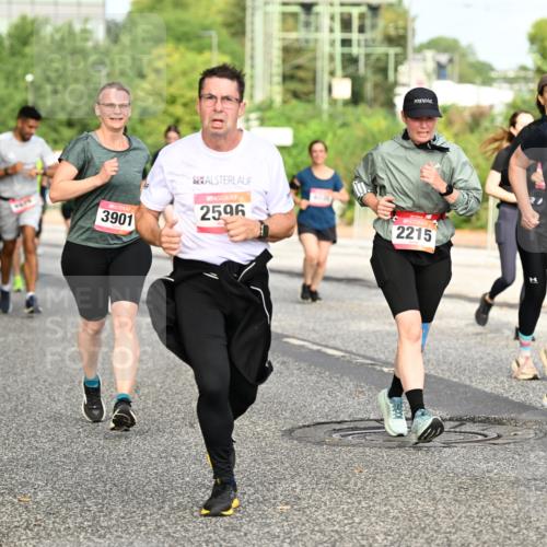 06.09.2026 - CURREX Alsterlauf Dr. Thomas Lammeyer http://msf.ph/oto/10140810 06.09.2026 10:09:02 Laufen 3901, 2596, 2218, 2215 meine-sportfotos.de