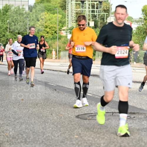 06.09.2026 - CURREX Alsterlauf Dr. Thomas Lammeyer http://msf.ph/oto/10141064 06.09.2026 10:09:33 Laufen 5371, 4596, 4109, 3017, 3039, 5075, 3516, 3558, 2929, 2824 meine-sportfotos.de