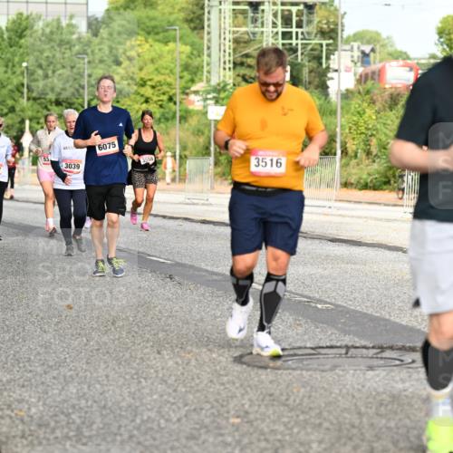 06.09.2026 - CURREX Alsterlauf Dr. Thomas Lammeyer http://msf.ph/oto/10141069 06.09.2026 10:09:33 Laufen 4596, 314, 3017, 53, 3039, 6075, 3558, 3516, 2824 meine-sportfotos.de