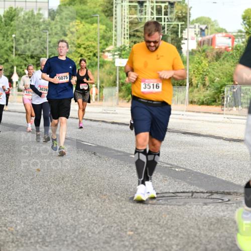 06.09.2026 - CURREX Alsterlauf Dr. Thomas Lammeyer http://msf.ph/oto/10141071 06.09.2026 10:09:33 Laufen 459416, 3017, 5371, 3039, 5075, 3558, 3516, 29, 282425 meine-sportfotos.de