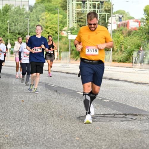 06.09.2026 - CURREX Alsterlauf Dr. Thomas Lammeyer http://msf.ph/oto/10141072 06.09.2026 10:09:33 Laufen 4596, 3017, 3039, 6075, 3558, 3516, 28 meine-sportfotos.de