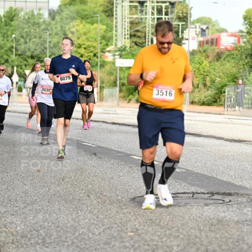 06.09.2026 - CURREX Alsterlauf Dr. Thomas Lammeyer http://msf.ph/oto/10141073 06.09.2026 10:09:34 Laufen 4596, 6075, 3017, 3039, 3558, 3516 meine-sportfotos.de
