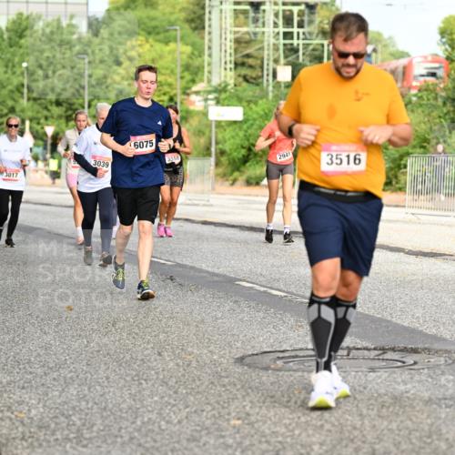 06.09.2026 - CURREX Alsterlauf Dr. Thomas Lammeyer http://msf.ph/oto/10141078 06.09.2026 10:09:34 Laufen 3017, 3039, 6075, 3558, 2941, 3516 meine-sportfotos.de