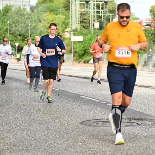06.09.2026 - CURREX Alsterlauf Dr. Thomas Lammeyer http://msf.ph/oto/10141080 06.09.2026 10:09:34 Laufen 3017, 3039, 6075, 2941, 3516 meine-sportfotos.de