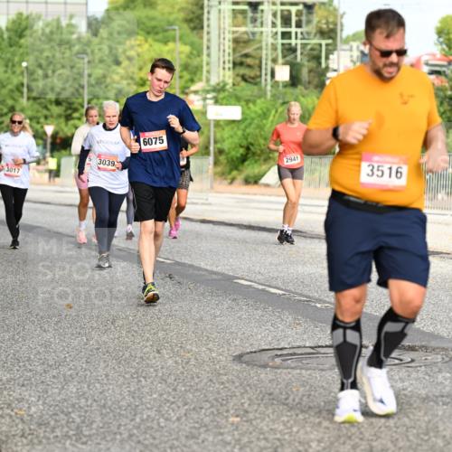 06.09.2026 - CURREX Alsterlauf Dr. Thomas Lammeyer http://msf.ph/oto/10141081 06.09.2026 10:09:34 Laufen 3017, 595, 6075, 3039, 2941, 3516 meine-sportfotos.de