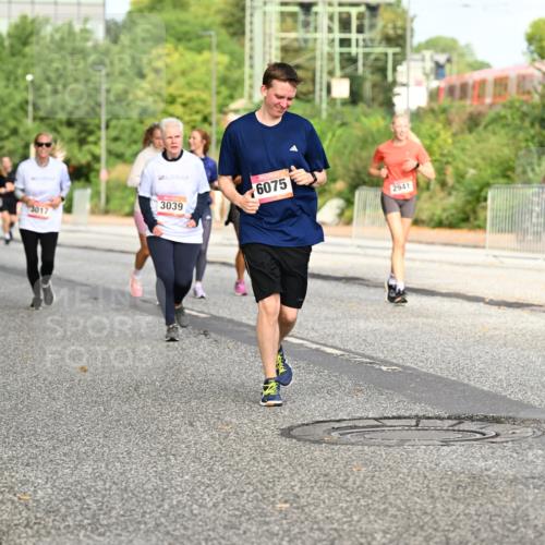 06.09.2026 - CURREX Alsterlauf Dr. Thomas Lammeyer http://msf.ph/oto/10141086 06.09.2026 10:09:35 Laufen 3017, 4681, 3039, 6075, 2941 meine-sportfotos.de