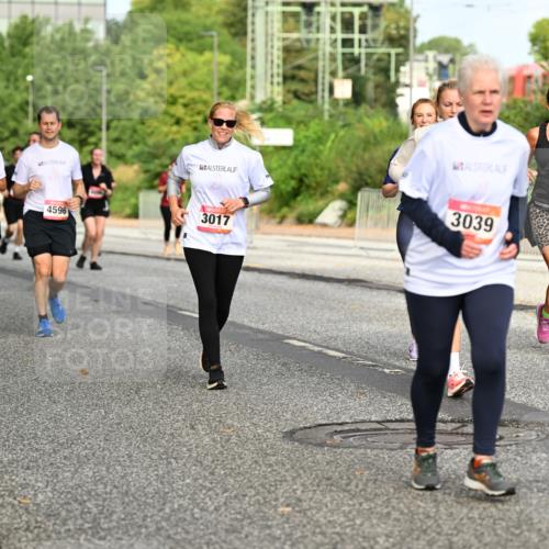 06.09.2026 - CURREX Alsterlauf Dr. Thomas Lammeyer http://msf.ph/oto/10141118 06.09.2026 10:09:38 Laufen 3017, 3039, 4595, 4596, 3558 meine-sportfotos.de