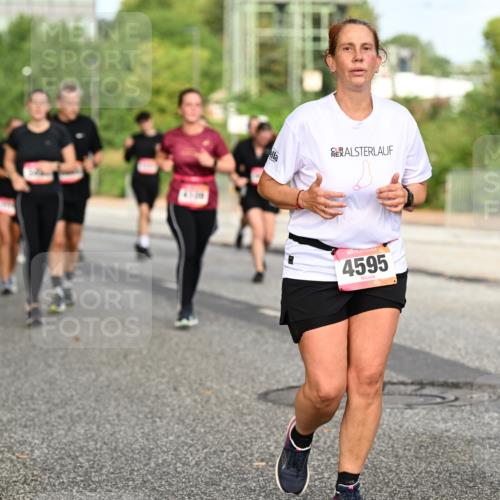 06.09.2026 - CURREX Alsterlauf Dr. Thomas Lammeyer http://msf.ph/oto/10141159 06.09.2026 10:09:43 Laufen 4595, 459 meine-sportfotos.de