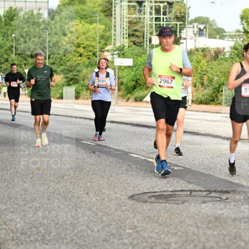 06.09.2026 - CURREX Alsterlauf Dr. Thomas Lammeyer http://msf.ph/oto/10141235 06.09.2026 10:09:53 Laufen 3121, 2967, 3643, 6, 4184, 29, 3510 meine-sportfotos.de