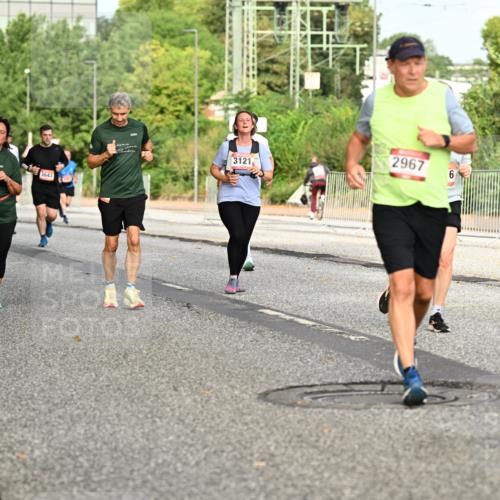 06.09.2026 - CURREX Alsterlauf Dr. Thomas Lammeyer http://msf.ph/oto/10141242 06.09.2026 10:09:54 Laufen 3510, 3643, 3121, 2967, 6, 418 meine-sportfotos.de