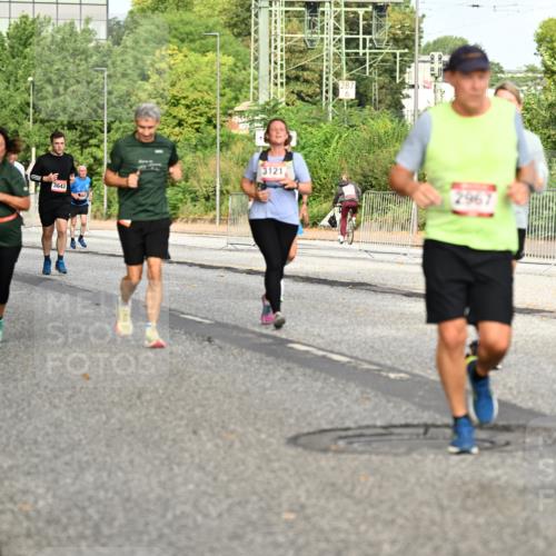 06.09.2026 - CURREX Alsterlauf Dr. Thomas Lammeyer http://msf.ph/oto/10141243 06.09.2026 10:09:54 Laufen 4, 3510, 3643, 3121 meine-sportfotos.de