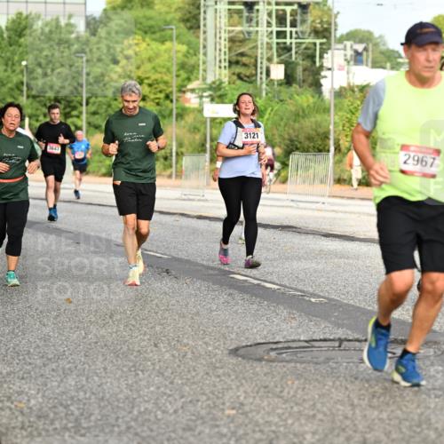 06.09.2026 - CURREX Alsterlauf Dr. Thomas Lammeyer http://msf.ph/oto/10141247 06.09.2026 10:09:55 Laufen 3121, 3643, 2967, 3510 meine-sportfotos.de