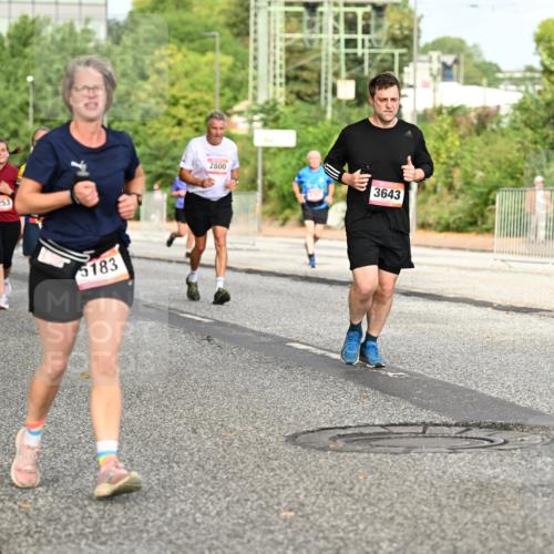 06.09.2026 - CURREX Alsterlauf Dr. Thomas Lammeyer http://msf.ph/oto/10141302 06.09.2026 10:10:01 Laufen 5219, 4253, 20, 5183, 2800, 3643 meine-sportfotos.de