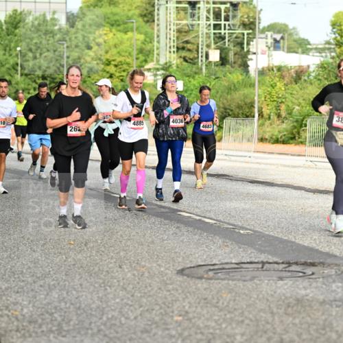 06.09.2026 - CURREX Alsterlauf Dr. Thomas Lammeyer http://msf.ph/oto/10141398 06.09.2026 10:10:11 Laufen 362, 6015, 89, 310, 4885, 4036, 262, 4683, 3864 meine-sportfotos.de